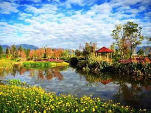 诗句,湖边,风景