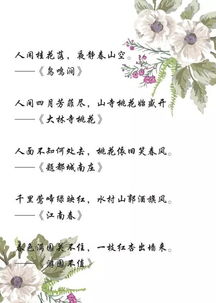 诗句,春天,大全,文章