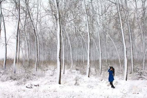 下雪天想念某人的古诗句