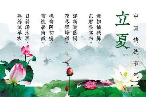 古诗,诗句,时节,美好