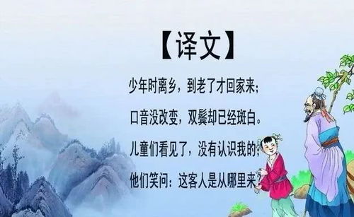 回乡偶书古诗诗句是