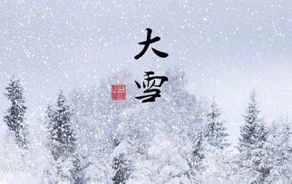 雪落长安古诗句