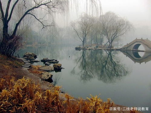 描写夏雨的诗句古诗词,关于细雨的诗句古诗词,描写爱情的诗句古诗词