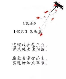 关于花的诗句或文章