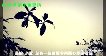 离别的诗句古诗大全