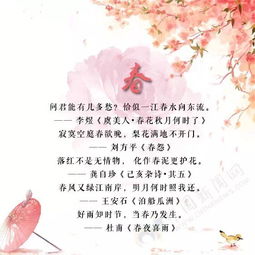 古诗中有带花字诗句