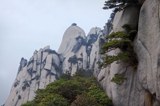 诗句,登山