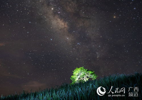 关于写星空的诗句有哪些,写星空的诗句(现代的),写星空的诗句自编