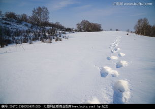 雪中脚印诗句,描写雪中脚印的诗句,赞美雪地脚印的诗句