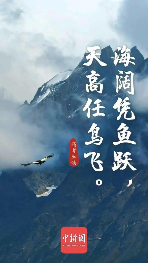 诗句,细致