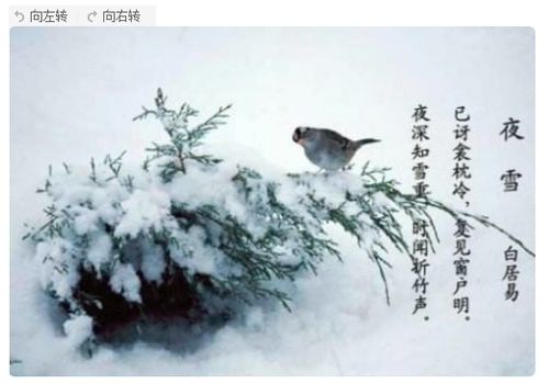 7到8级关于写雪的诗句