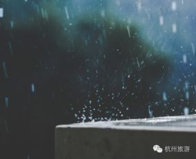 关于冬雨的古诗句