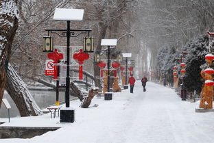 关于古镇的雪景的诗句