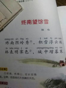 关于解闷的诗句