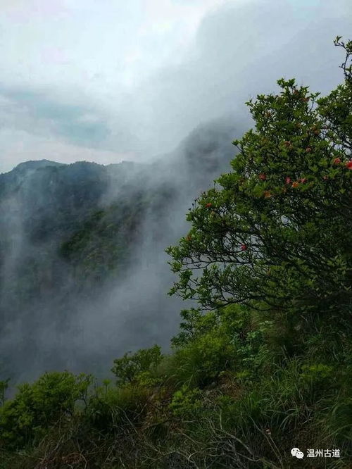 苍山,诗句