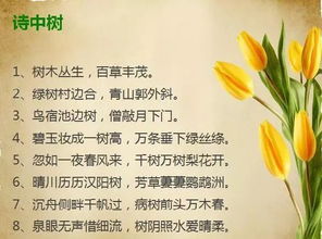 诗句,中考,祝愿,美好