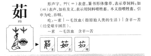 关于茹字的诗句