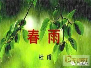 关于春雨高兴的诗句