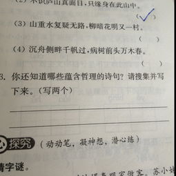 关于含有哲理的诗句摘抄