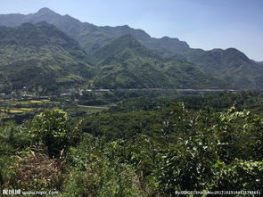 关于大别山南麓的诗句