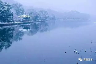 雪中嬉戏的诗句古诗