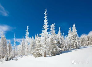 写咏雪古诗句