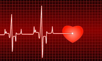 倾听自己的心跳作文开头