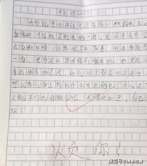 小学生不理解父母作文开头