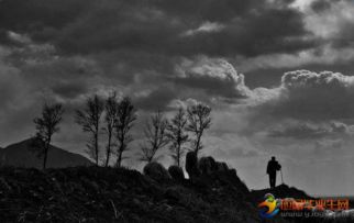 守望为话题的作文开头