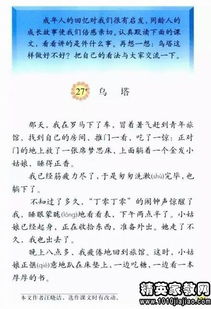 关于小学调查报告范文(小学关于近视调查报告)