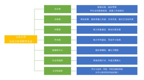 大学有哪些部门及职能 (大学有哪些职能部门 )