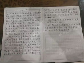 礼物是书的作文600字作文开头