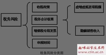 税务风险风险管理专业论文范文()