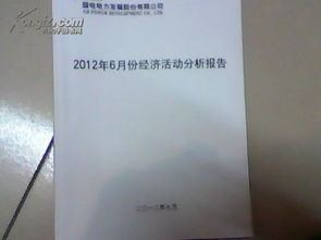 公司半年生产经营活动的分析报告(公司半年生产经营活动分析报告)