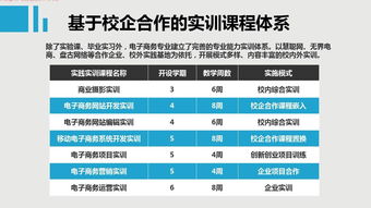 电子商务专业课程(电子商务专业课程)