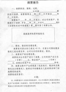 公司注销清算报告(公司清算报告范本)