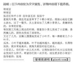 泡绿豆作文3的开头