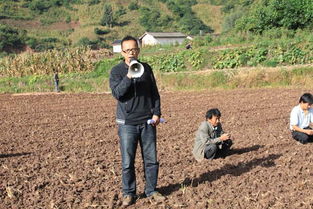 油菜种植采购合同(烟叶种植采购合同)