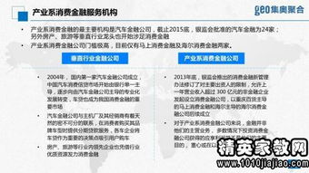 金融租赁公司项目调查报告范文(金融租赁公司典型项目调查报告)