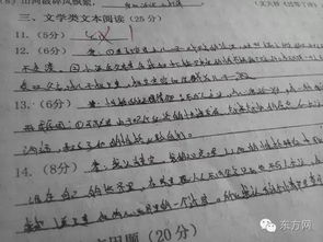 心灵的距离作文开头900