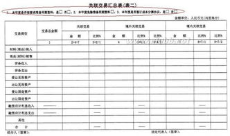 国税企业所得税自查报告(国税个人自查报告)