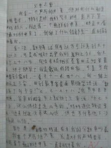 作文父爱母爱的开头和结尾