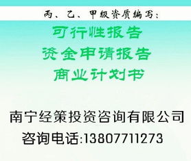 广告项目可行性报告(项目可行性报告)