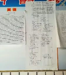 回访母校总结范文(母校回访实践总结)