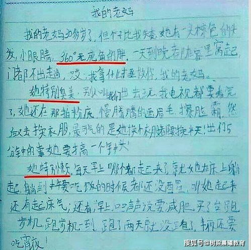 运用比喻开头的作文80字