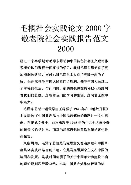 毛概实践报告格式范文(毛概社会实践报告格式)