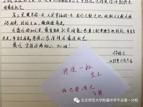 以梦为马不负韶华的作文开头句