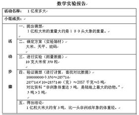 实验报告总结(实验报告总结)