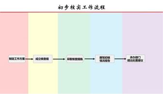 初步核实情况报告(初步核实情况报告范文参考)