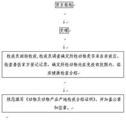 产地检疫情况调查报告(产地检疫情况调查报告模板)